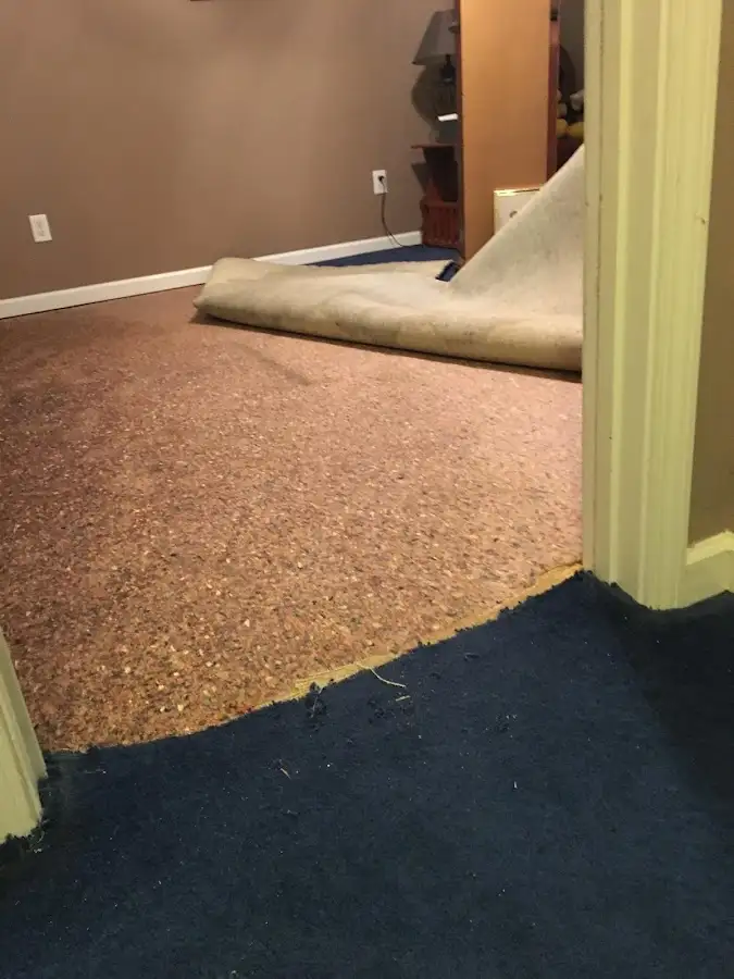 Carpet pad removal revealing water damage during Water Mitigation Services in Arlington